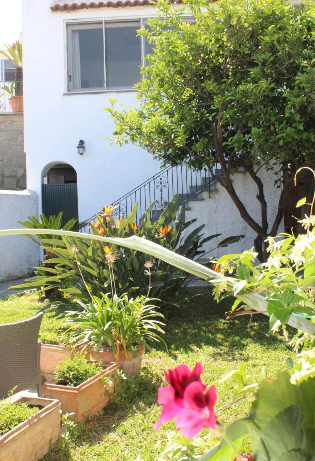 Willa Chez Marie Ischia Zewnętrze zdjęcie